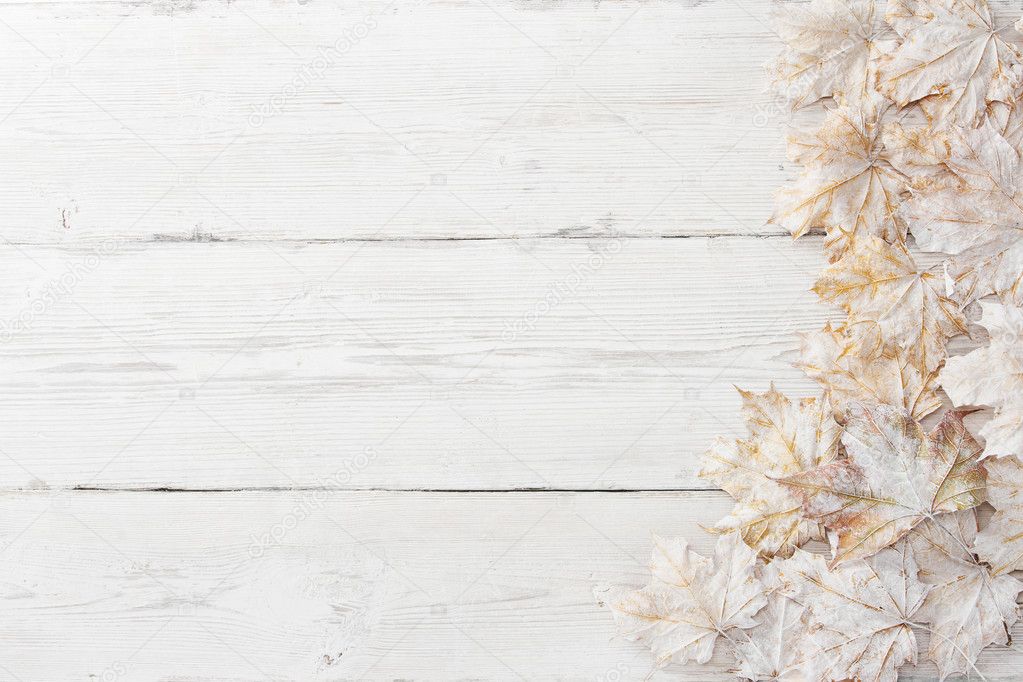 White leaves over wooden grunge background