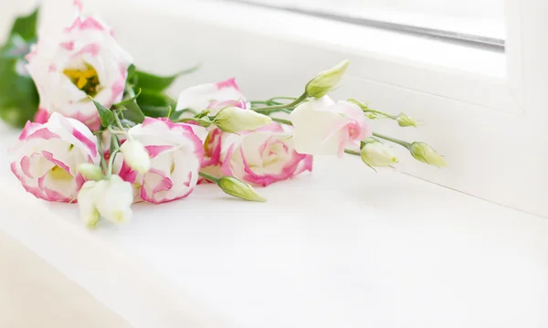 Квітковий букет Лізіантус лежить на підвіконні — стокове фото
