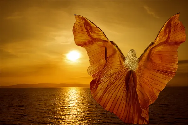 Woman Wings Transform Butterfly, flying on fantasy sunset, meditation reincarnation