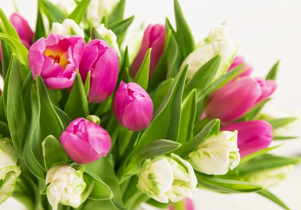 チューリップの花の花束をクローズ アップ — ストック写真