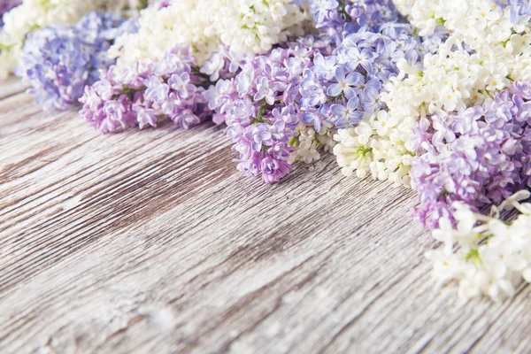 Bunga Lilac pada latar belakang kayu, cabang mekar pada tekstur kayu vintage — Stok Foto