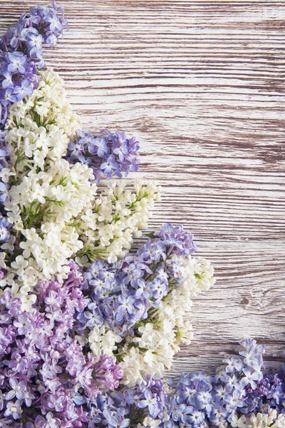 Fleurs de lilas sur fond bois, branche de fleur sur texture bois vintage — Photo