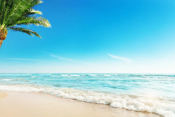 Tropic Beach Mit Palmenhintergrund Summer Holiday Tropical Travel Resort Paradiesischer — Stockfoto