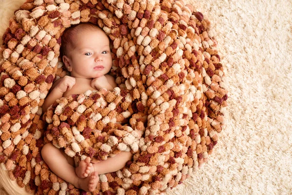 Bebê Recém Nascido Envolto Cobertor Criança Recém Nascida Deitada Ninho — Fotografia de Stock