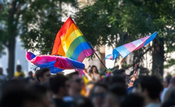 Madrid Julio 2022 Banderas Lgbti Bisexuales Transgénero Desfile Del Orgullo —  Fotos de Stock