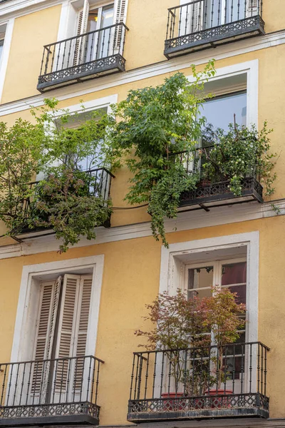Una Vegetazione Lussureggiante Sui Balconi Edificio Madrid — Foto Stock