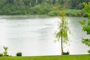 yağmurlu bir günde küçük bir göl