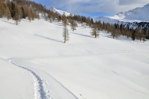 Paysage montagneux enneigé avec piste raquettes — Photo