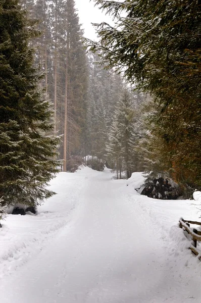 Snötäckta banan under snöfall — Stockfoto