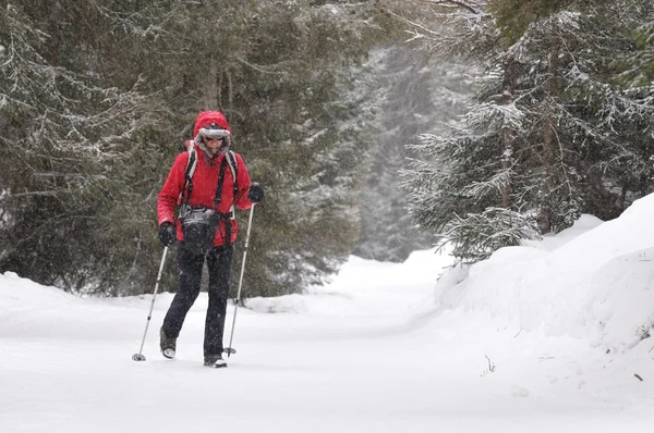 Kvinnan promenader på en snöig väg under snöfall — Stockfoto