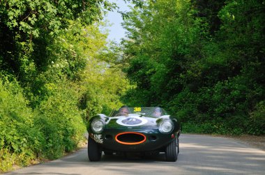 Yeşil jaguar d tipi