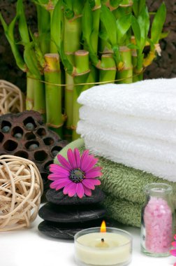 spa konsept