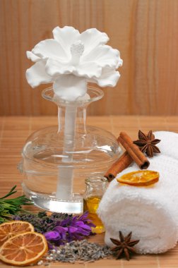 spa konsept