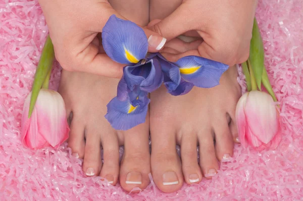 Pedicure Royalty Free Stock Images