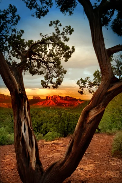 Arizona — Stock Photo, Image