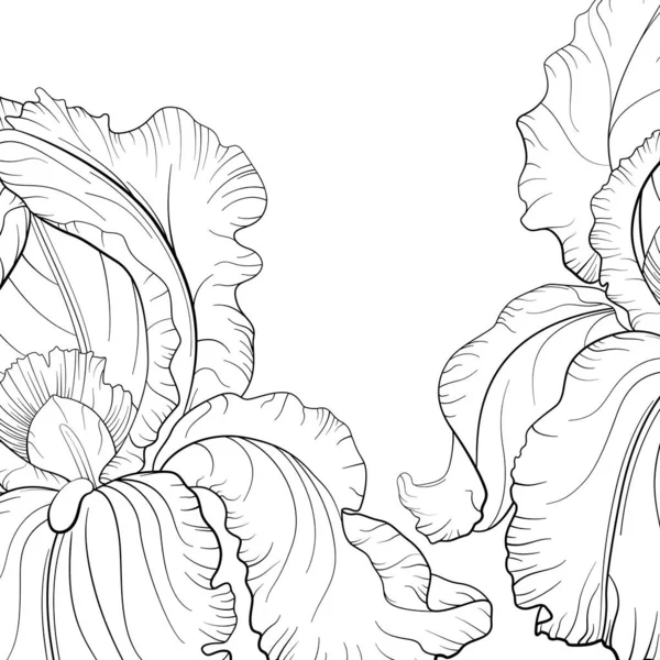 Vector Iris Bloem Zwart Wit Botanische Inkt Kunst Line Art — Stockvector