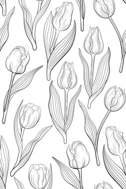 Lale çiçekli, kusursuz bir desen. Beyaz arkaplanda çizgi çizimi.