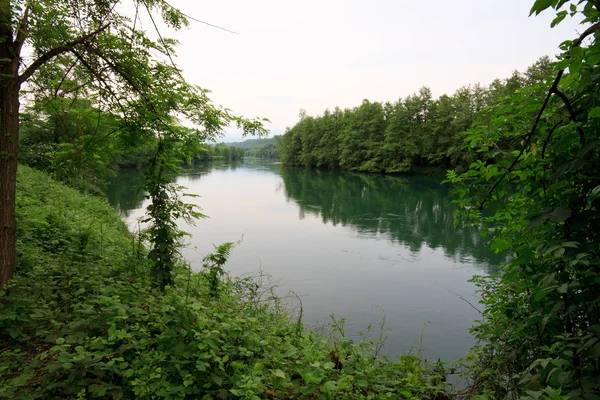 Flussadda — Stockfoto