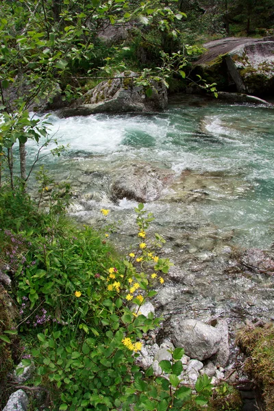 Val di Mello — Zdjęcie stockowe