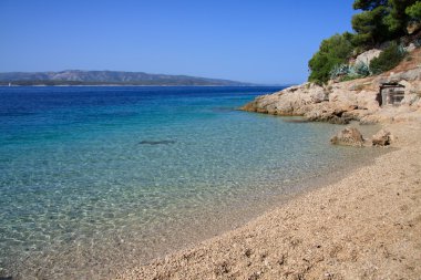 Murvica beach