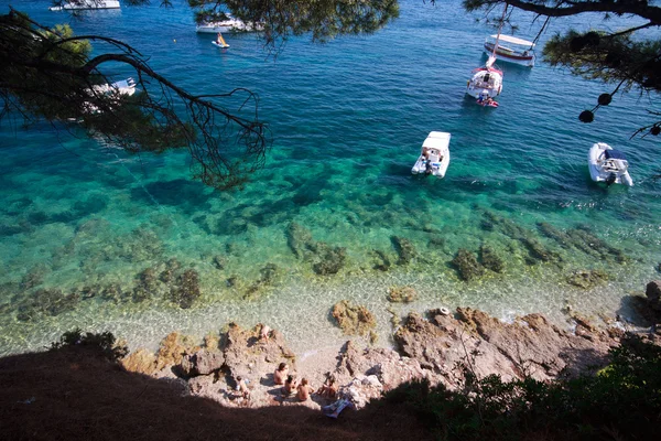 Scorfano di mare Bol — Foto Stock