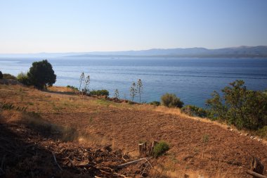 Murvica (Bol - Island Brac)