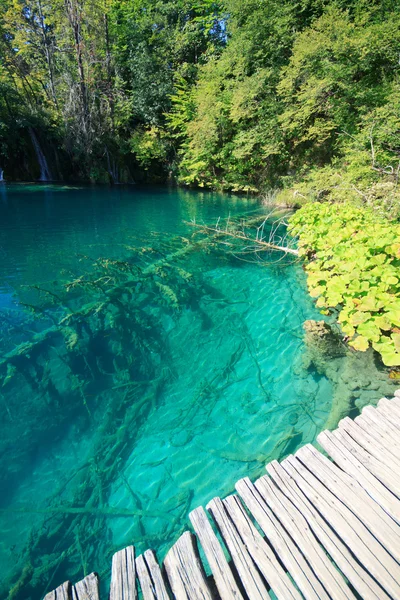 Plitvice Nationalpark plitvice — Stockfoto