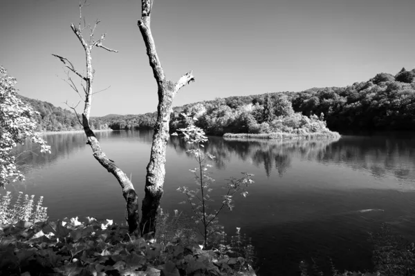 Plitvice Nationalpark plitvice — Stockfoto