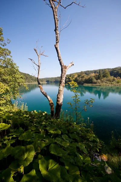 Plitvice Parku Narodowego Plitwice — Zdjęcie stockowe