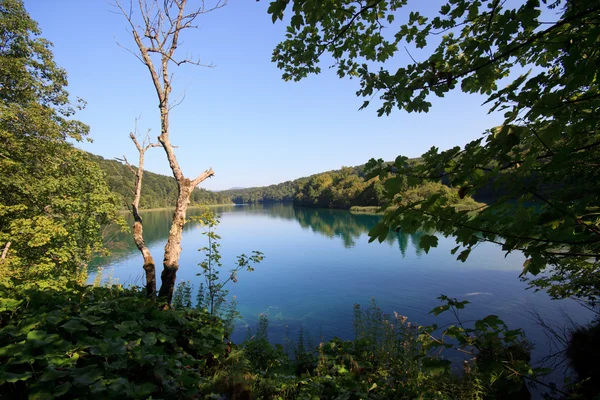 Національний парк Плітвицькі Плітвицькі — стокове фото