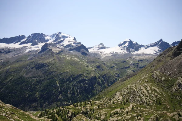 Gran Paradiso - Valsavaranche — Stock Photo, Image