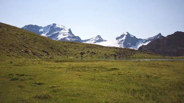 Gran Paradiso from the lake Plan Borgno — Stock Photo, Image