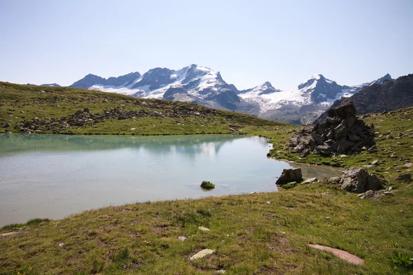 Gran Paradiso from the lake Plan Borgno — Stock Photo, Image