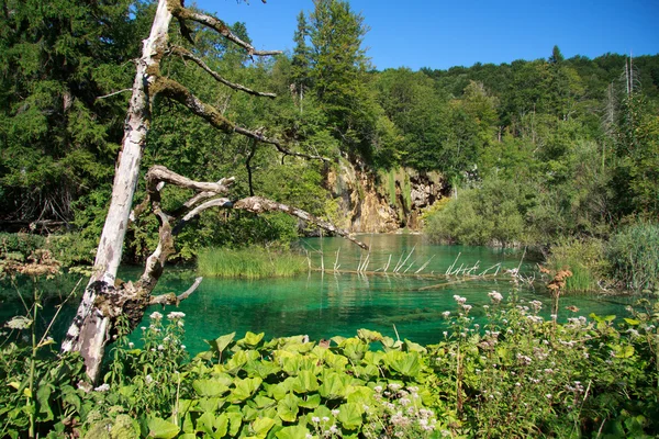 Národní park Plitvická — Stock fotografie