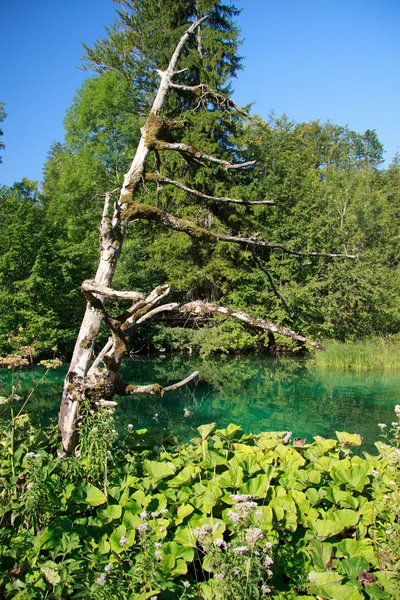Parco nazionale di Plitvice — Foto Stock