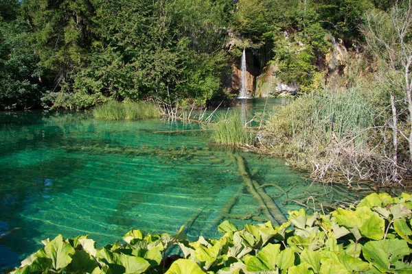 Εθνικό Πάρκο Plitvice — Φωτογραφία Αρχείου