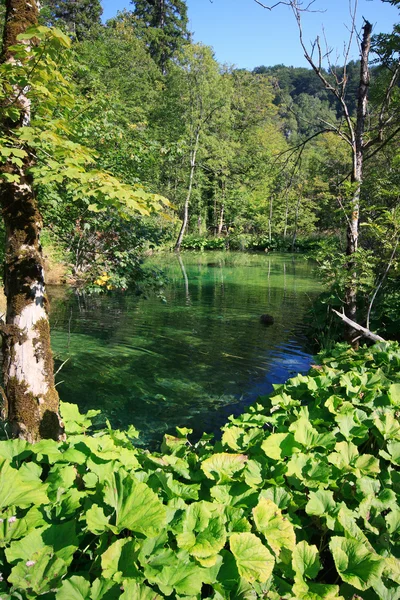 Parque nacional de Plitvice — Foto de Stock