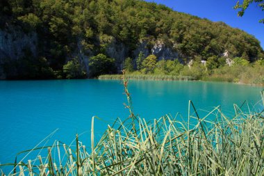 Plitvice Milli Parkı