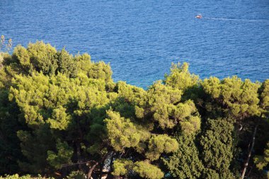 Murvica (Bol - Island Brac)