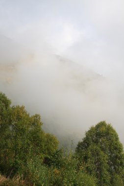 Monte grona sis aracılığıyla