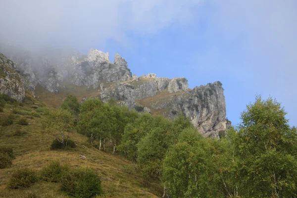 Monte grona genom dimman — Stockfoto