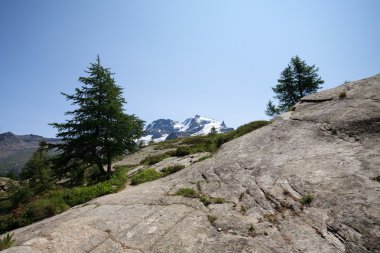 Gran paradiso Milli Parkı