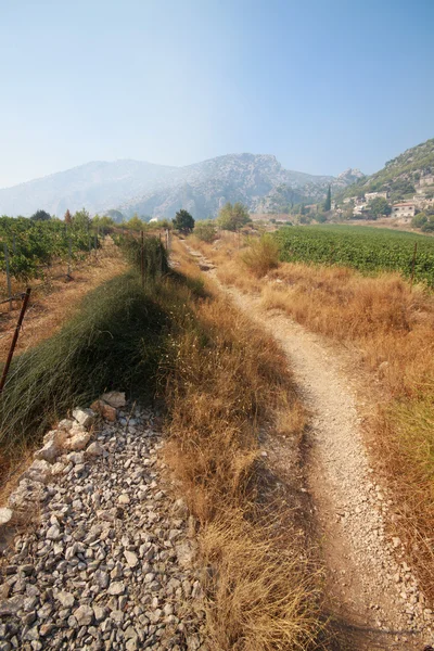 Murvica (bol - Insel brac - Kroatien) — Stockfoto