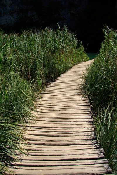 Plitvice Milli Parkı — Stok fotoğraf