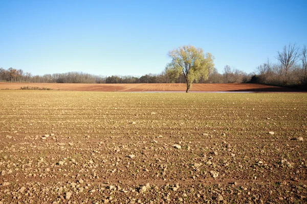 Geploegd veld — Stockfoto