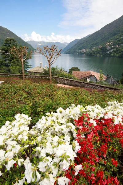 Blumengarten in faggeto lario — Stockfoto