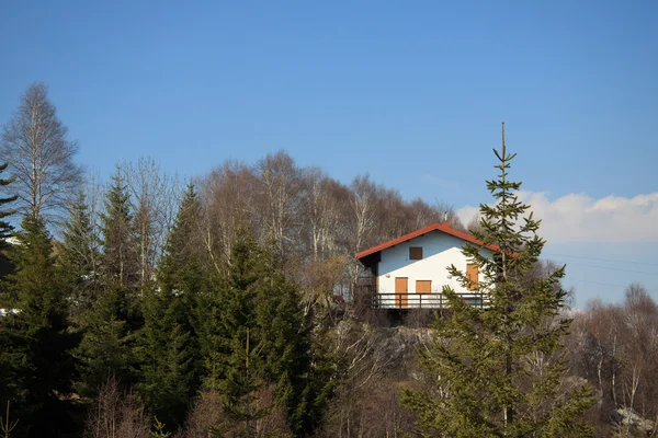 Plannen Erna — Stockfoto