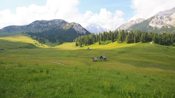 Piazza Prato - val pusteria —  Fotos de Stock