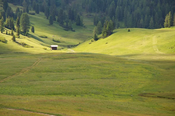 Prato Piazza - Val Pusteria — Stok fotoğraf