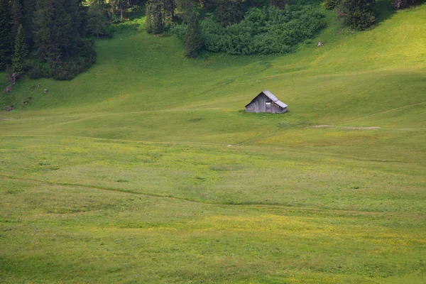 Prato Piazza - Val Pusteria